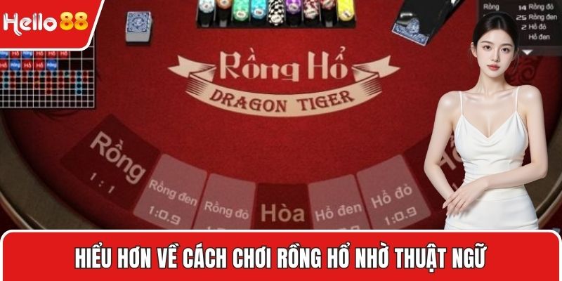 Hiểu hơn về cách chơi Rồng Hổ nhờ thuật ngữ