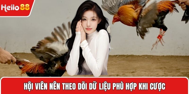 Hội viên nên theo dõi dữ liệu phù hợp khi cược