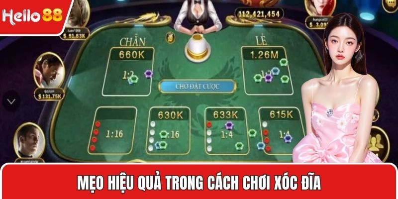 Mẹo hiệu quả trong cách chơi xóc đĩa
