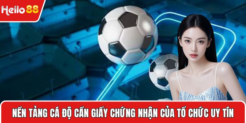 Nền tảng cá độ online cần giấy chứng nhận của tổ chức uy tín
