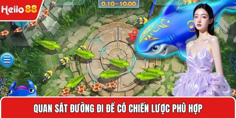 Quan sát đường đi để có chiến lược phù hợp